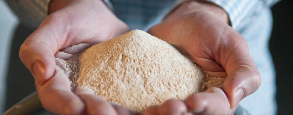 Person holding material in open palms.