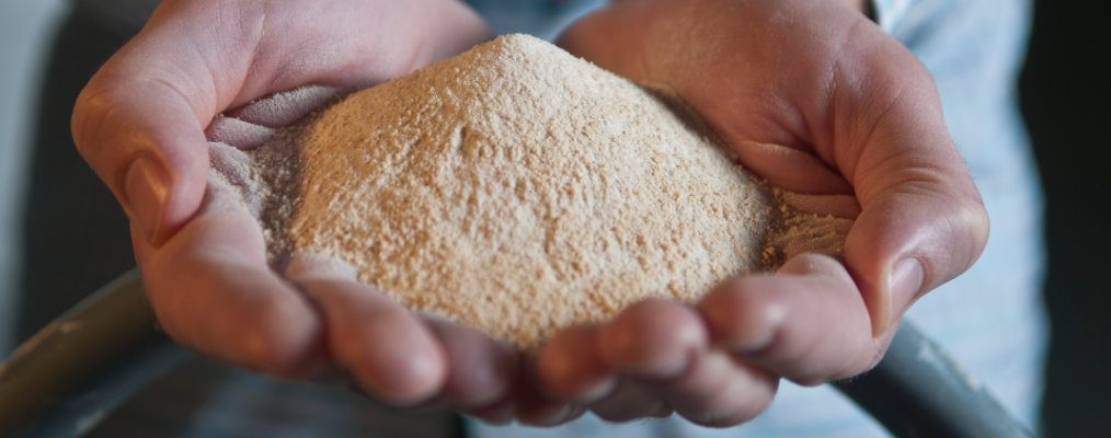 Person holding material in open palms.